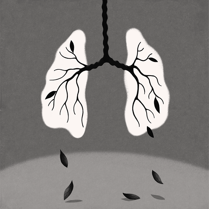 Ilustración de pulmones con ramas de árbol adentro y hojas cayendo de las ramas.